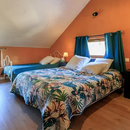 Cuicui Les P'tits Oiseaux