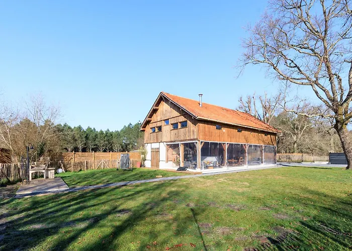 Cuicui Les P'tits Oiseaux