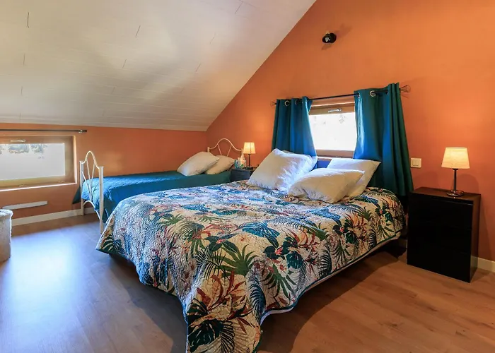 Cuicui Les P'tits Oiseaux